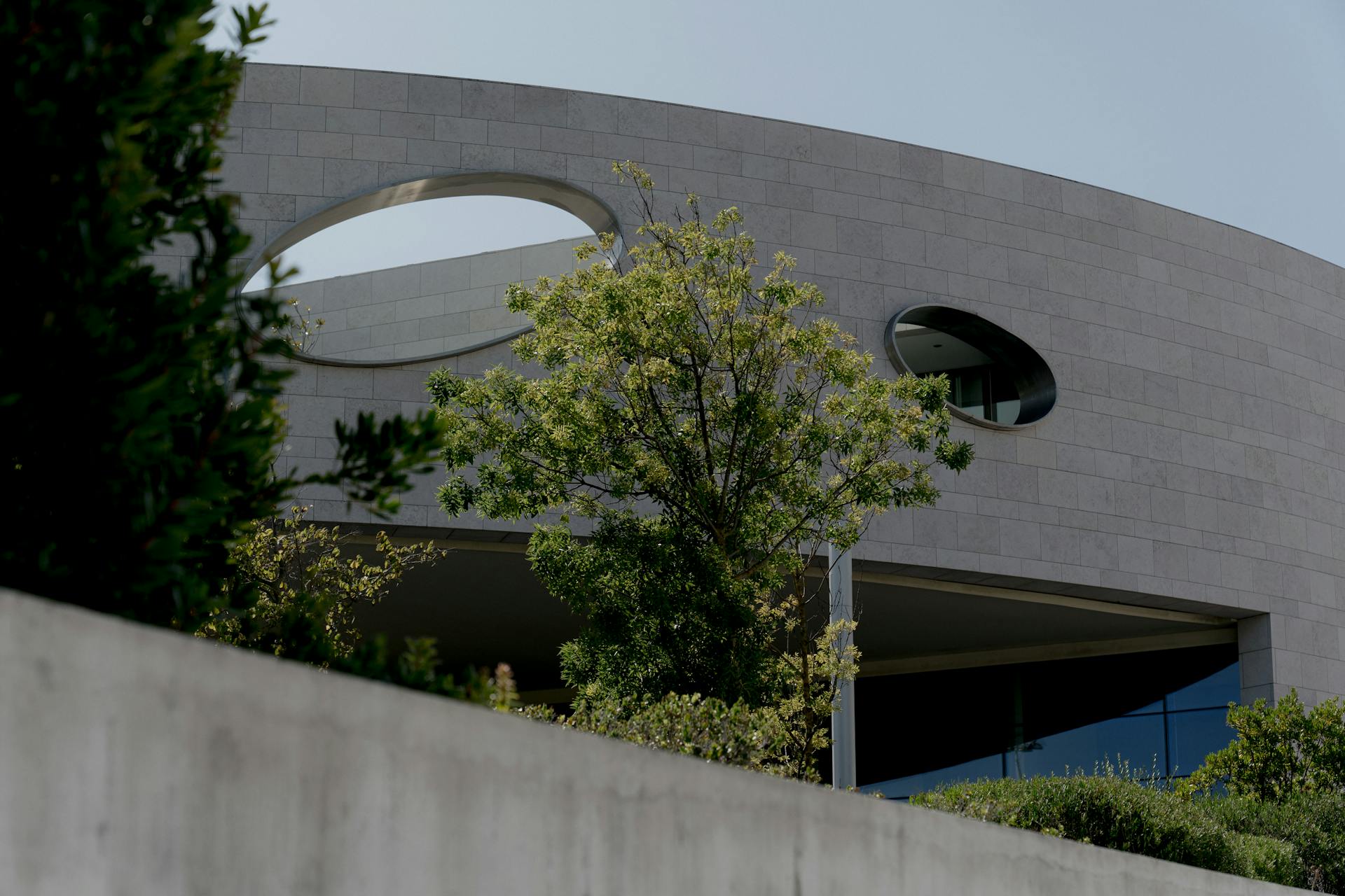 pexels-alleksana-6073651